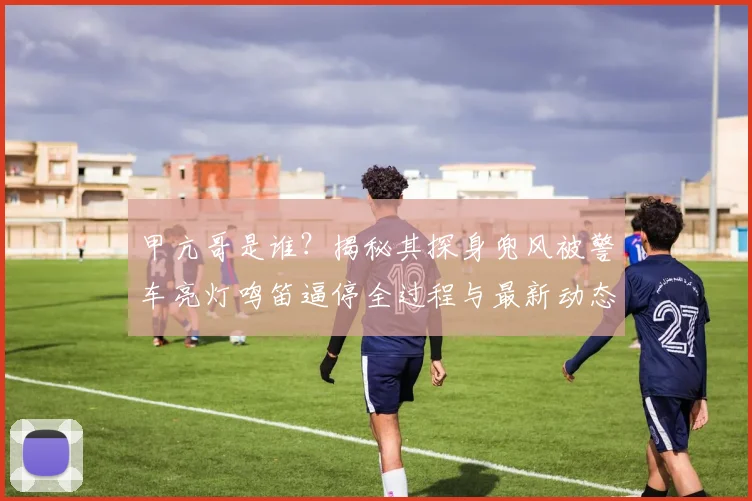 甲亢哥是谁？揭秘其探身兜风被警车亮灯鸣笛逼停全过程与最新动态